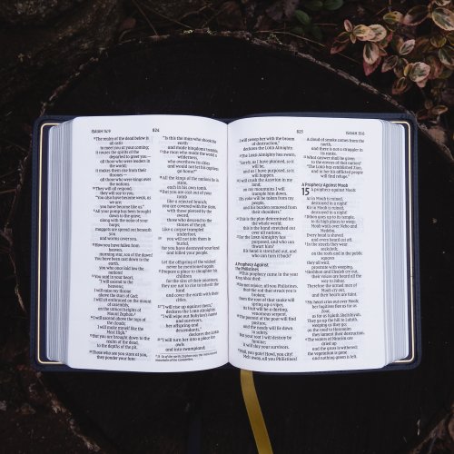 NIV, Larger Print Compact Bible, Genuine Leather, Buffalo, Blue, Red Letter, Comfort Print