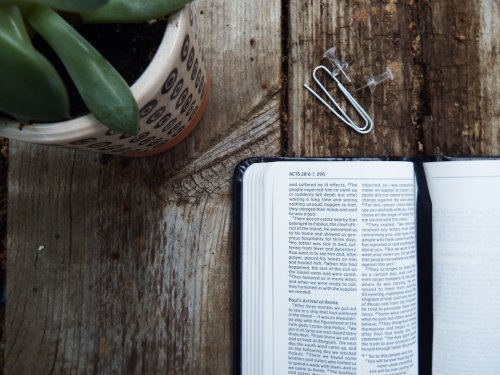 NIV Journal The Word New Testament  Pocket Bible Edition(Comfort Print)-Black Hardcover