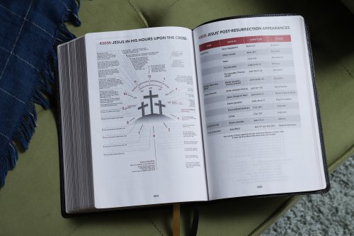KJV, Thompson Chain-Reference Bible, Large Print, Bonded Leather, Black, Red Letter, Comfort Print