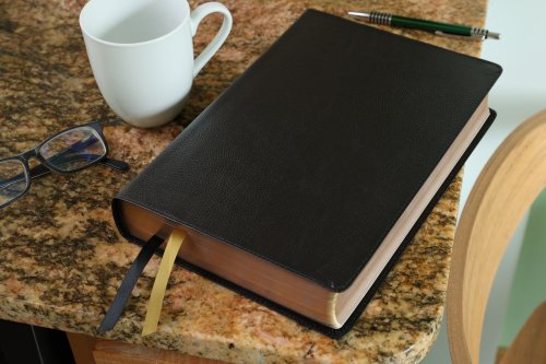 KJV, Thompson Chain-Reference Bible, Large Print, Bonded Leather, Black, Red Letter, Comfort Print