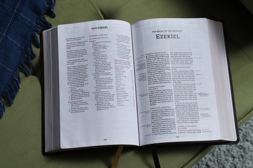 KJV, Thompson Chain-Reference Bible, Large Print, Bonded Leather, Black, Red Letter, Comfort Print