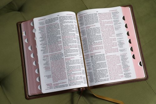 KJV, Thompson Chain-Reference Bible, Genuine Leather, Calfskin, Brown, Red Letter, Thumb Indexed, Comfort Print