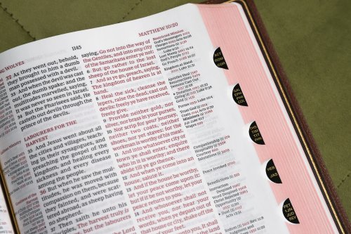 KJV, Thompson Chain-Reference Bible, Genuine Leather, Calfskin, Brown, Red Letter, Thumb Indexed, Comfort Print
