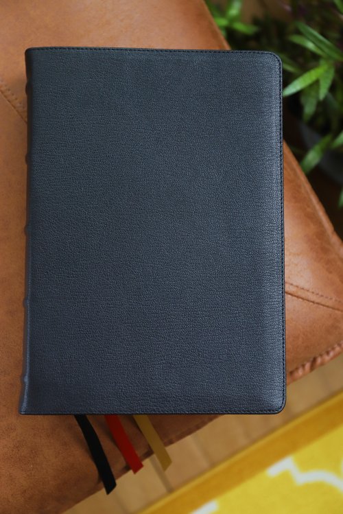 KJV, Thompson Chain-Reference Bible, Premium Goatskin Leather, Black, Premier Collection, Art Gilded Edges, Black Letter, Comfort Print