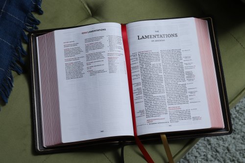 KJV, Thompson Chain-Reference Bible, Premium Goatskin Leather, Black, Premier Collection, Art Gilded Edges, Black Letter, Comfort Print