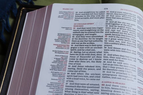 KJV, Thompson Chain-Reference Bible, Premium Goatskin Leather, Black, Premier Collection, Art Gilded Edges, Black Letter, Comfort Print