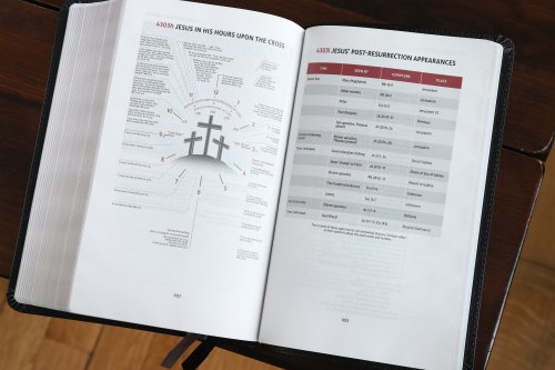 NIV, Thompson Chain-Reference Bible, Handy Size, European Bonded Leather, Black, Red Letter, Comfort Print