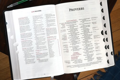 NIV, Thompson Chain-Reference Bible, Large Print, Bonded Leather, Black, Thumb Indexed, Red Letter, Comfort Print
