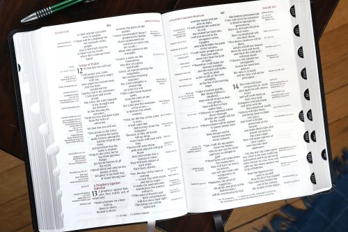 NIV, Thompson Chain-Reference Bible, Large Print, Bonded Leather, Black, Thumb Indexed, Red Letter, Comfort Print