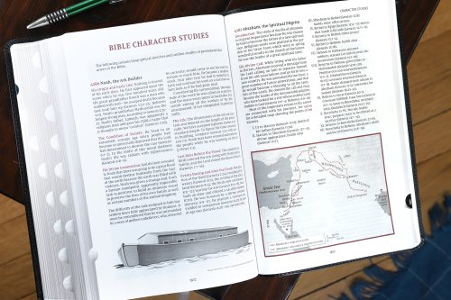 NIV, Thompson Chain-Reference Bible, Large Print, Bonded Leather, Black, Thumb Indexed, Red Letter, Comfort Print