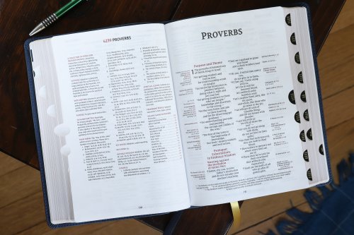 NIV, Thompson Chain-Reference Bible, Leathersoft, Navy, Thumb Indexed, Red Letter, Comfort Print
