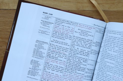 NKJV Thompson Chain-Reference Bible, Red, Hardcover, Red Letter, Biographical Sketches, Glossary, Concordance, Book Outlines, Verse Analysis, Maps, Ribbon Marker, Presentation Page