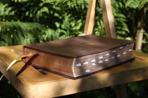 NIV, Thompson Chain-Reference Bible, Leathersoft, Brown, Red Letter, Thumb Indexed, Comfort Print