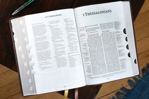 NIV, Thompson Chain-Reference Bible, Leathersoft, Brown, Red Letter, Thumb Indexed, Comfort Print