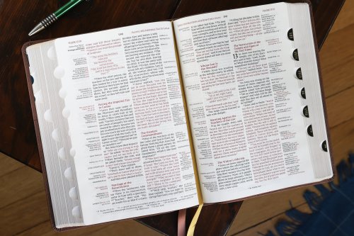 NIV, Thompson Chain-Reference Bible, Leathersoft, Brown, Red Letter, Thumb Indexed, Comfort Print