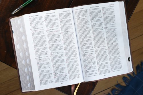 NIV, Thompson Chain-Reference Bible, Leathersoft, Brown, Red Letter, Thumb Indexed, Comfort Print