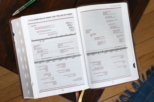 NIV, Thompson Chain-Reference Bible, Leathersoft, Brown, Red Letter, Thumb Indexed, Comfort Print