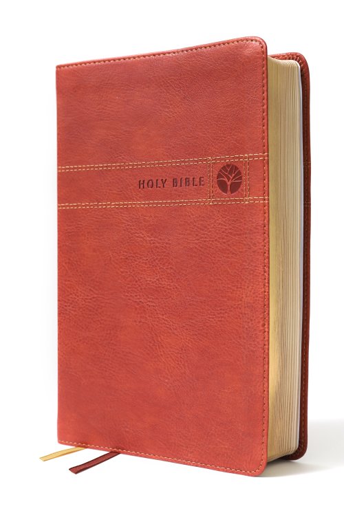 NIV Men's Devotional Bible, Leathersoft, Brown, Comfort Print