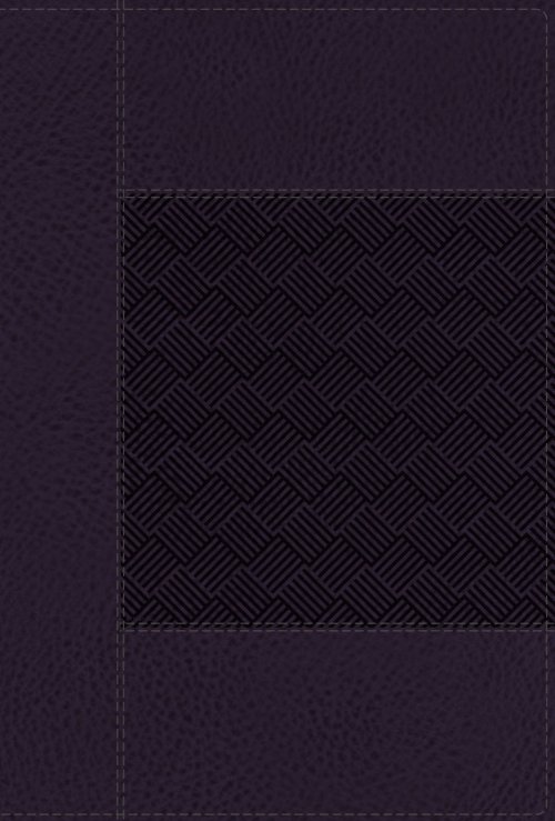 NIV, Wide Margin Bible (A Bible that Welcomes Note-Taking), Leathersoft, Navy, Red Letter, Comfort Print