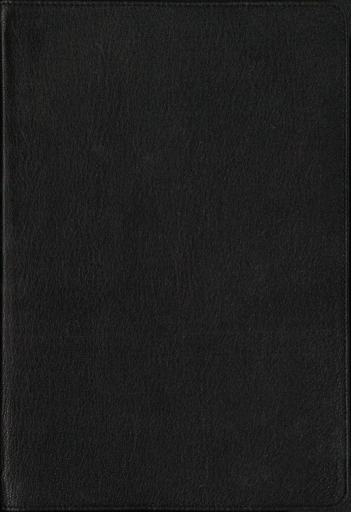 NIV, Wide Margin Bible (A Bible that Welcomes Note-Taking), Premium Goatskin Leather, Black, Premier Collection, Red Letter, Art Gilded Edges, Comfort Print