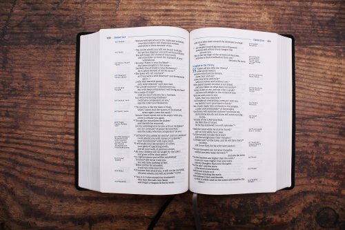 NIV Side-Column Reference Bible (Deep Study at a Portable Size), Personal Size, Leathersoft, Black, Comfort Print