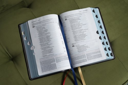 NIV, Life Application Study Bible, Third Edition, Genuine Leather, Cowhide, Black, Art Gilded Edges, Red Letter, Thumb Indexed
