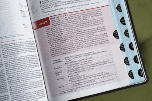 NIV, Life Application Study Bible, Third Edition, Genuine Leather, Cowhide, Black, Art Gilded Edges, Red Letter, Thumb Indexed