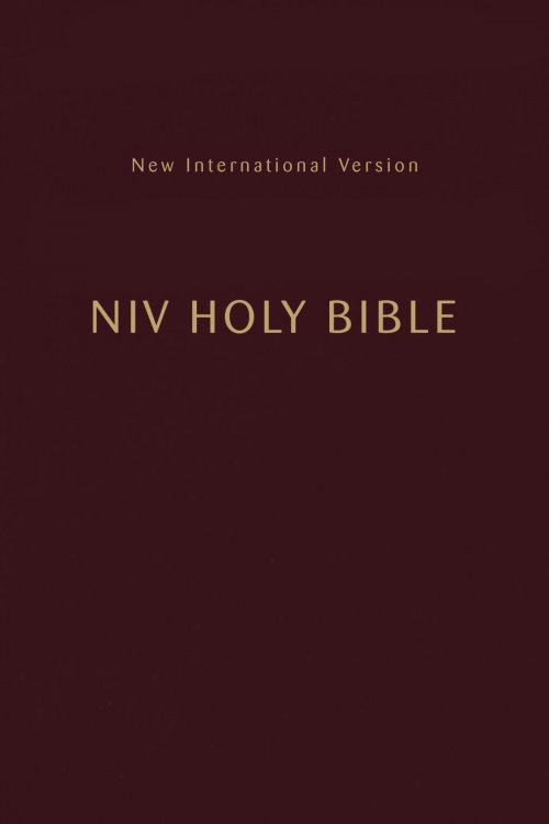 NIV, Holy Bible, Compact, Paperback, Burgundy, Comfort Print