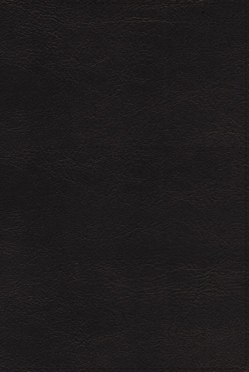 NRSVue, Holy Bible, Leathersoft, Black, Comfort Print