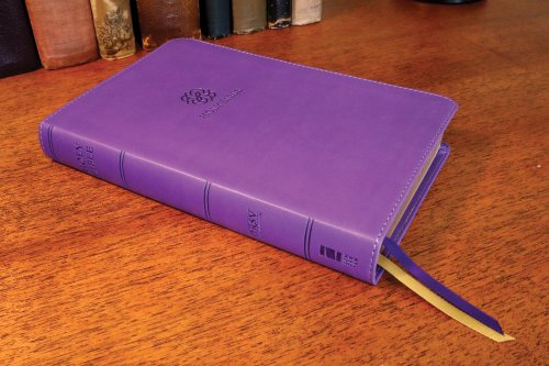 NRSVue, Holy Bible, Personal Size, Leathersoft, Purple, Comfort Print