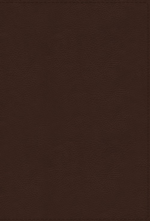 NRSVue, Holy Bible with Apocrypha, Leathersoft, Brown, Comfort Print