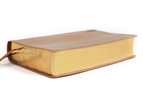 Niv, Student Bible, Personal Size, Leathersoft, Tan, Comfort Print