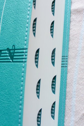 NIV, Ultimate Bible for Girls, Faithgirlz Edition, Leathersoft, Teal, Thumb Indexed Tabs