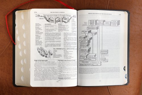 ESV, Thompson Chain-Reference Bible, Bonded Leather, Black, Red Letter, Thumb Indexed