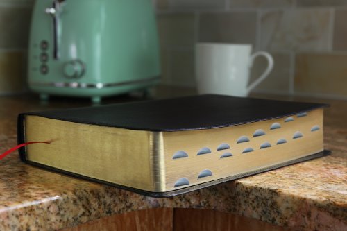 ESV, Thompson Chain-Reference Bible, Bonded Leather, Black, Red Letter, Thumb Indexed