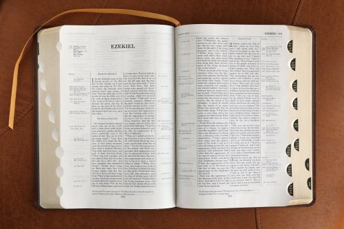 ESV, Thompson Chain-Reference Bible, Leathersoft, Brown, Red Letter, Thumb Indexed