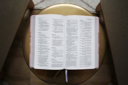 NIV, Thinline Bible, Leathersoft, Pink, Red Letter, Comfort Print