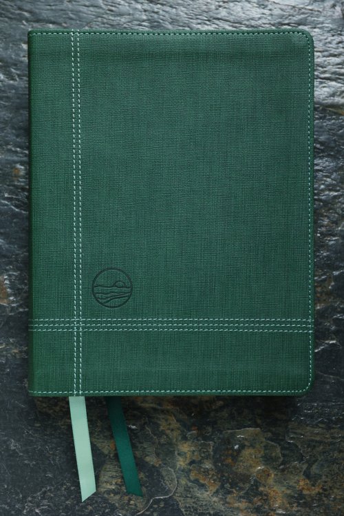 Rooted: The NIV Bible for Men, Leathersoft, Green, Comfort Print