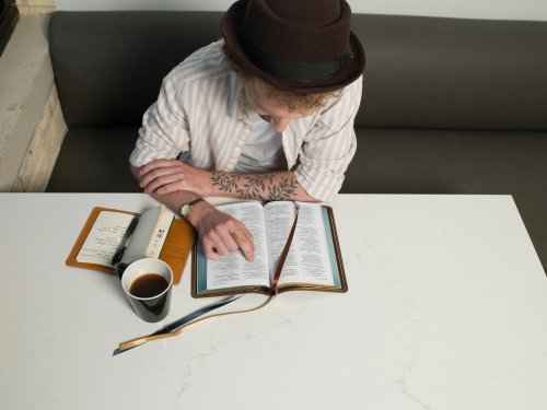 NIV, Thinline Bible, Premium Goatskin Leather, Brown, Premier Collection, Black Letter, Art Gilded Edges, Comfort Print
