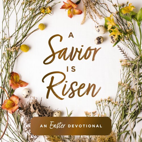 Savior Is Risen