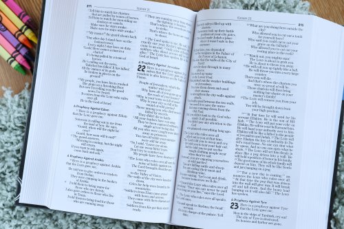 Kids' Devotional Bible, Nirv