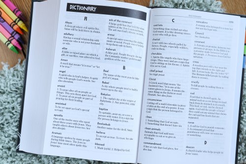 Kids' Devotional Bible, Nirv
