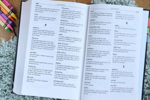 Kids' Devotional Bible, Nirv