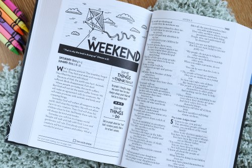 Kids' Devotional Bible, Nirv