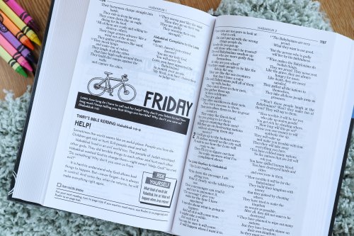 Kids' Devotional Bible, Nirv