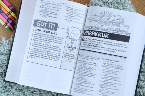 Kids' Devotional Bible, Nirv