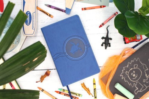 NIrV, Adventure Bible for Early Readers, Imitation Leather, Blue, Full Color