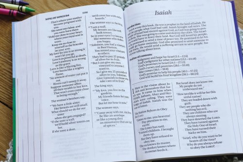 NIrV The Beginner's Bible Holy Bible, Hardcover