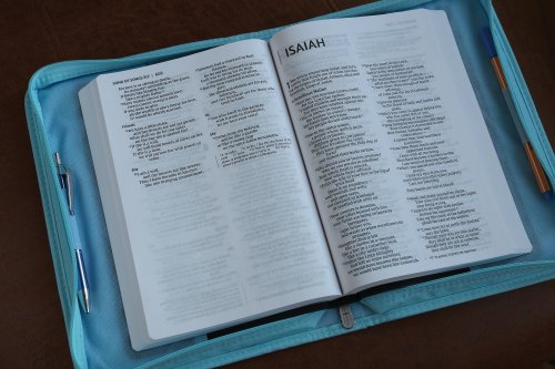 Large Inspiration New Creation  Aqua Canvas Bible Cover