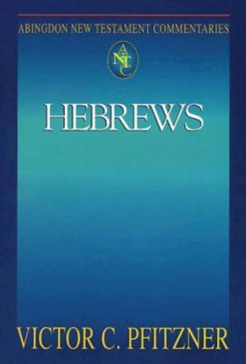 Hebrews : Abingdon New Testament Commentary